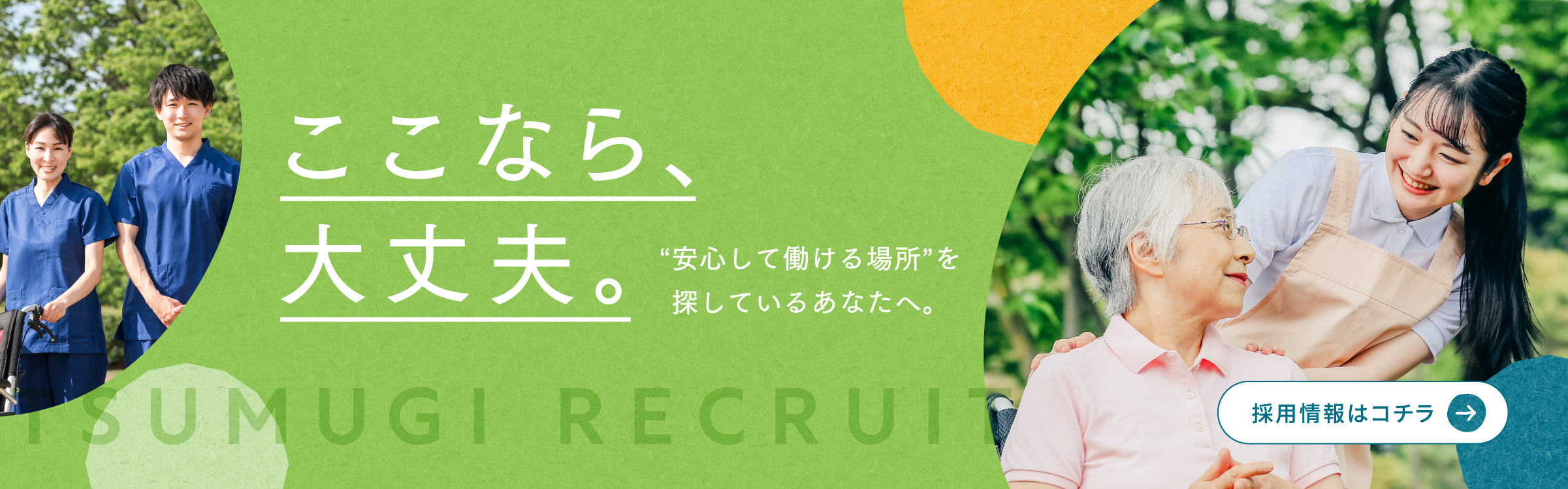 採用情報はこちら